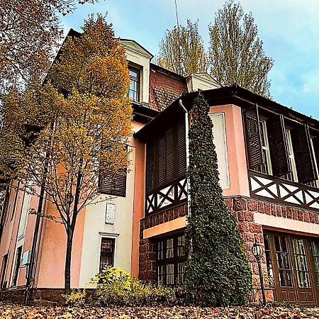 Party Villa Holiday Rent Balatonfoldvar Exterior photo